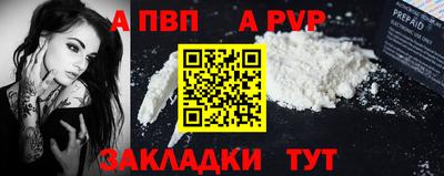 крисы Славгород