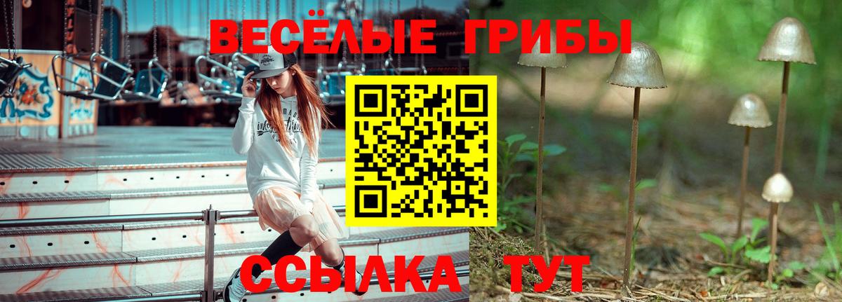 Галлюциногенные грибы Psilocybine cubensis Нижневартовск